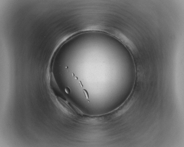 X0000110920892200906251416