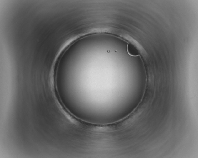 X0000110920894200906251416