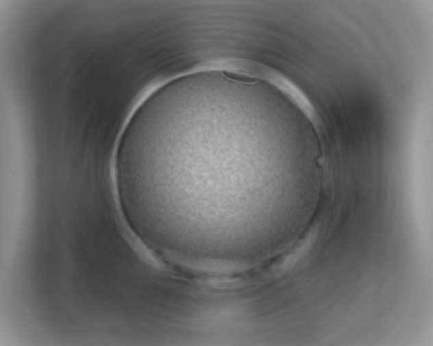 X0000110920907200906251415