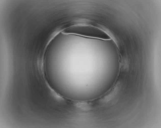 X0000110920909200906251415