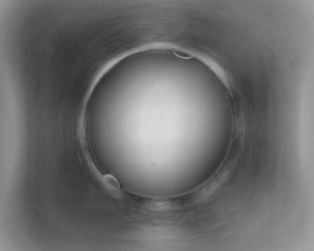 X0000110920911200906251415