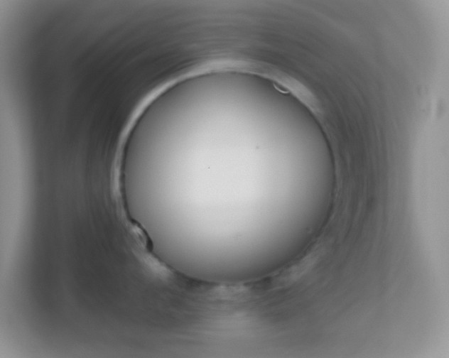 X0000110920912200906251415