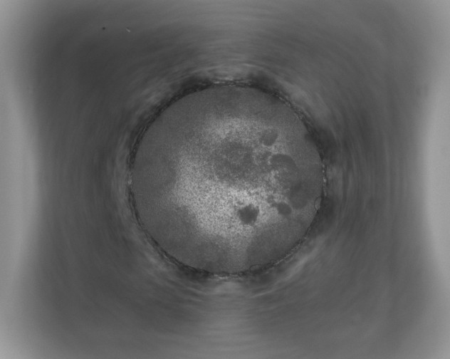 X0000110920913200906251415
