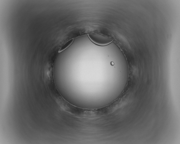 X0000110920914200906251415