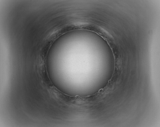 X0000110920917200906251415