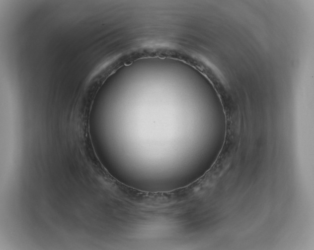X0000110920919200906251415