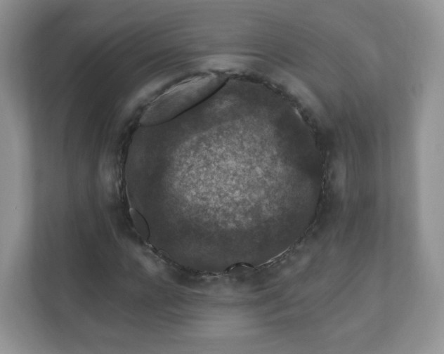 X0000110920920200906251415