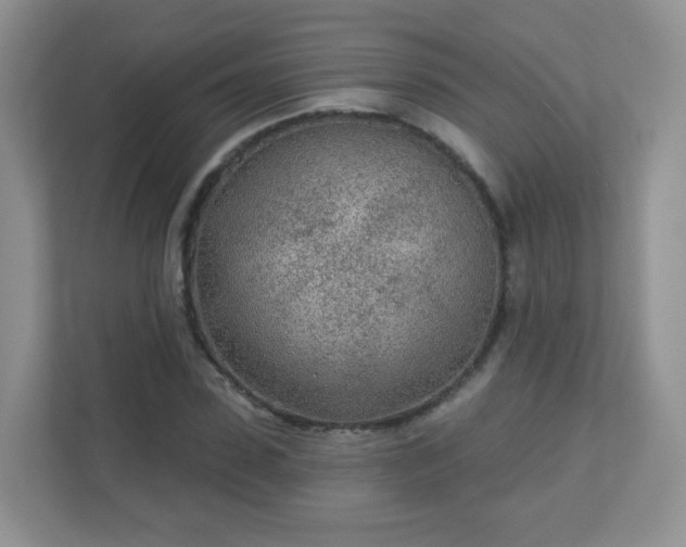X0000110920923200906251415