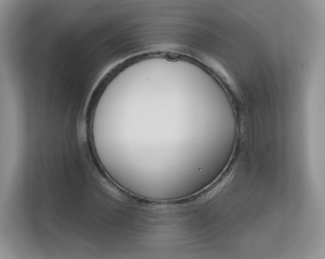 X0000110920924200906251415