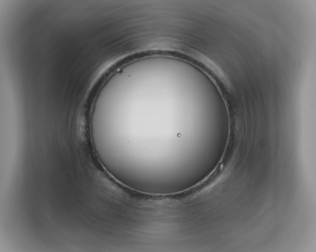 X0000110920926200906251415