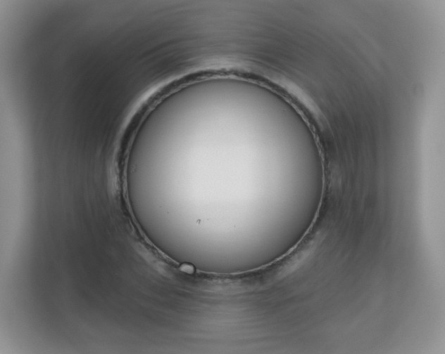 X0000110920927200906251415