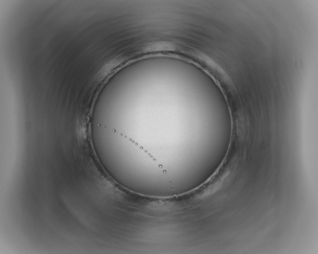X0000110920929200906251415