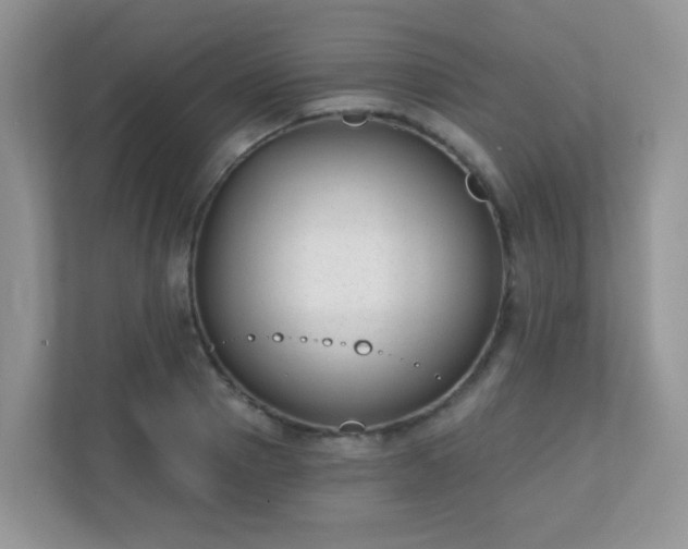 X0000110920937200906251415