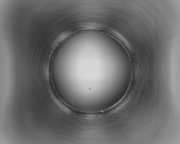 X0000110920938200906251415