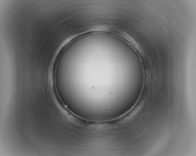 X0000110920939200906251415