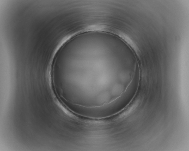 X0000110920941200906251415