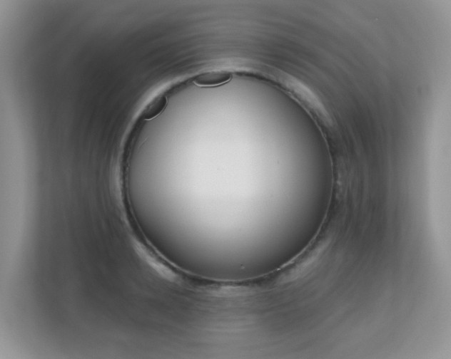 X0000110920942200906251415