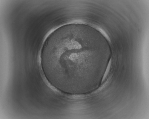 X0000110920944200906251415
