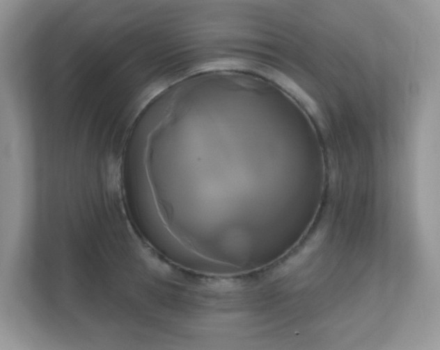 X0000110920945200906251415