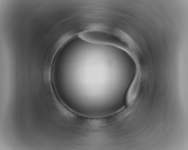 X0000110920946200906251415