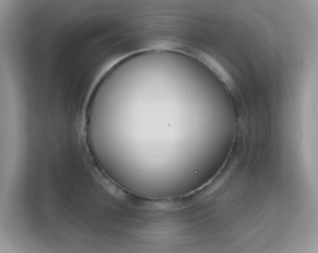 X0000110920948200906251415