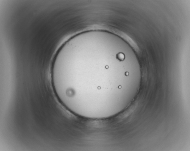X0000110920950200906251415