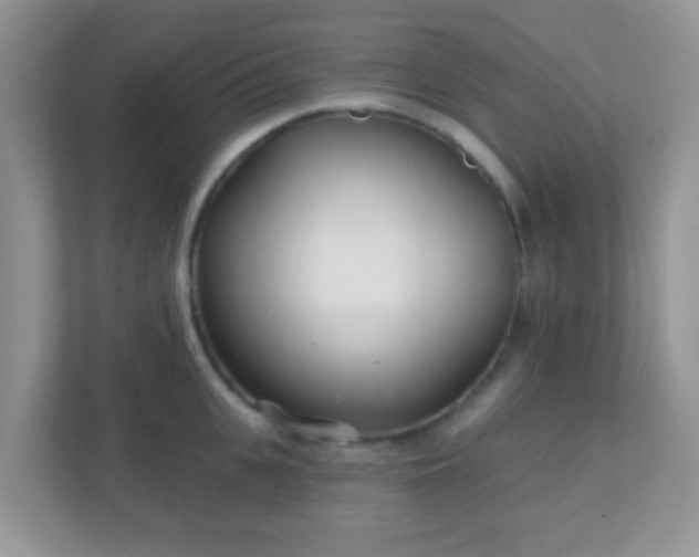 X0000110920951200906251415