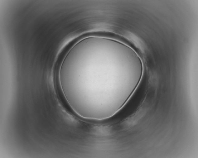 X0000110920952200906251415