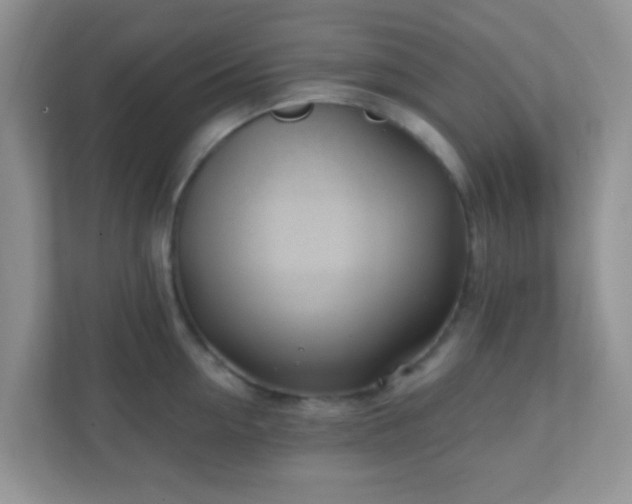 X0000110920954200906251415