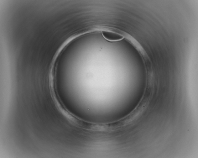 X0000110920955200906251415