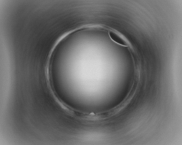 X0000110920959200906251415