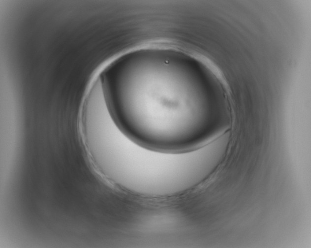 X0000110920960200906251415