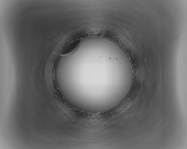 X0000110920961200906251415