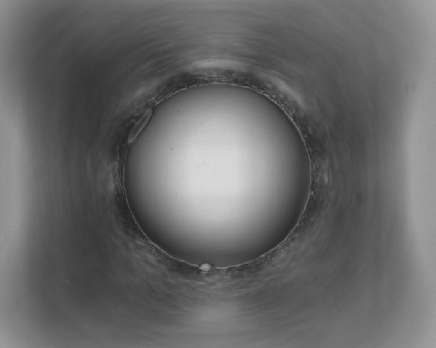 X0000110920965200906251415