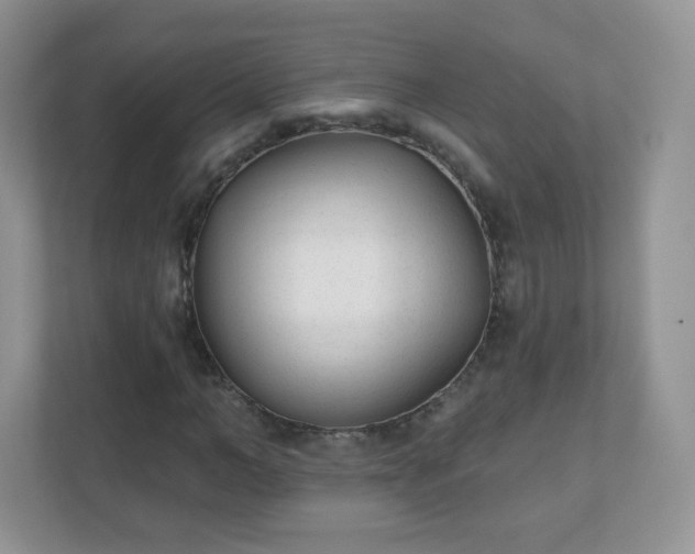 X0000110920966200906251415