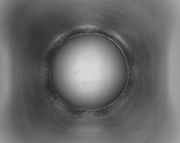 X0000110920967200906251415