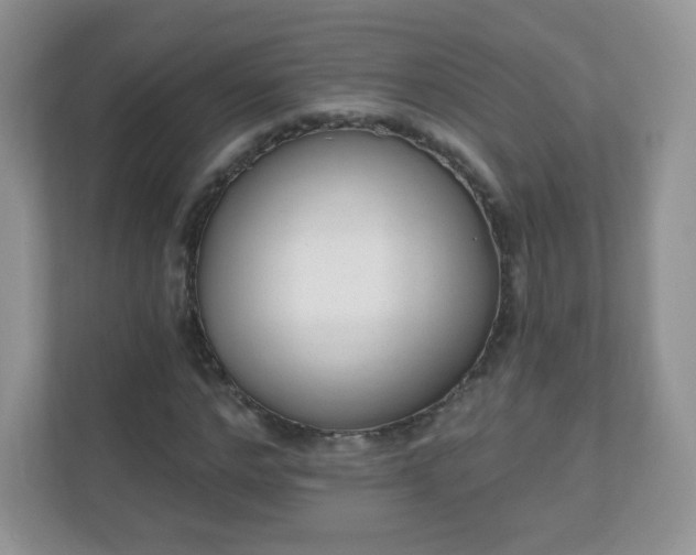 X0000110920968200906251415