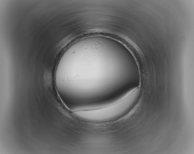X0000110920969200906251415