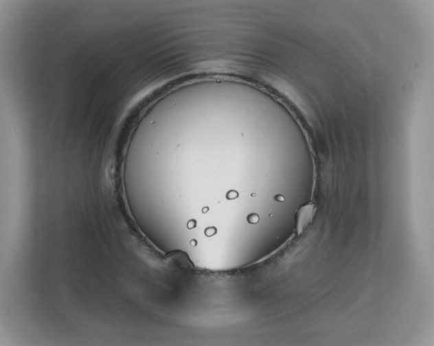 X0000110920971200906251415