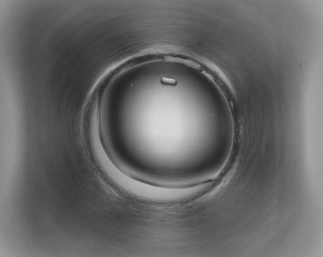 X0000110920973200906251415
