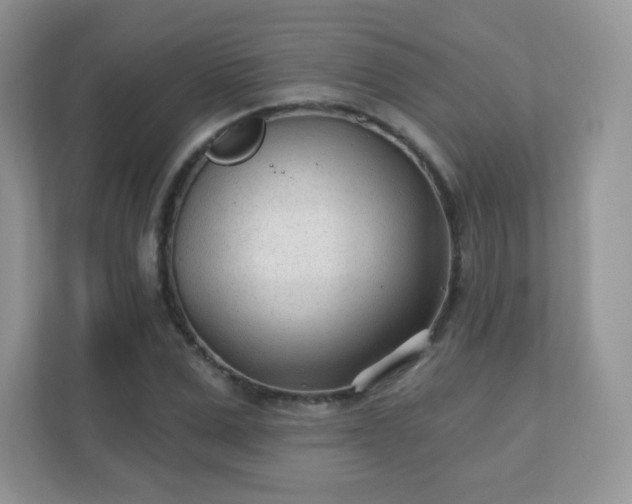 X0000110920975200906251415