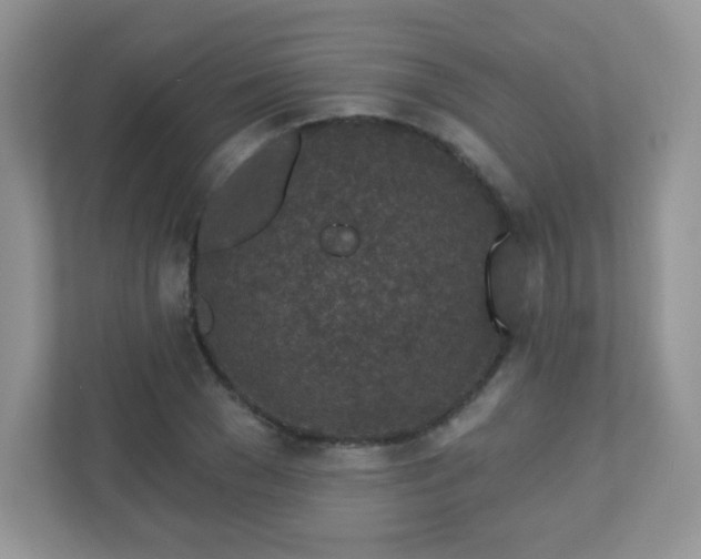 X0000110920977200906251415