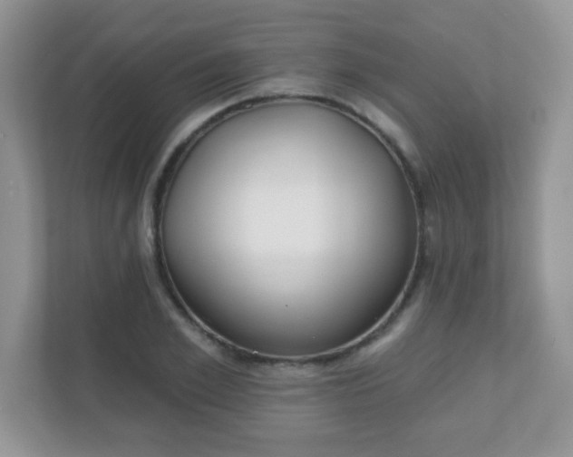 X0000110920981200906251414