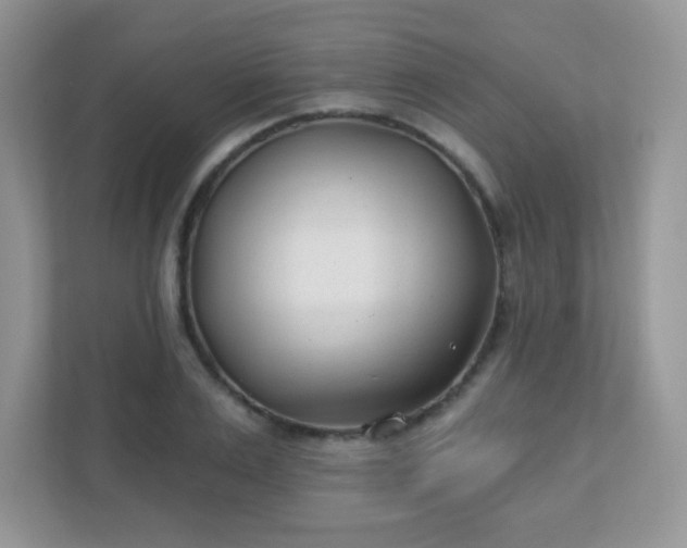 X0000110920983200906251414