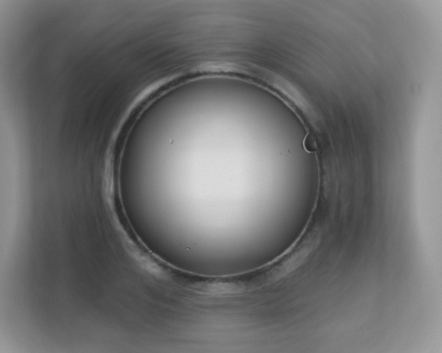 X0000110920984200906251414
