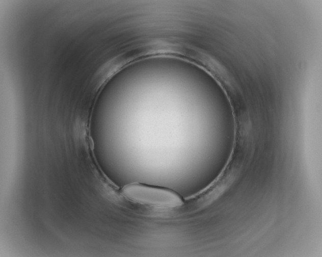 X0000110920985200906251414
