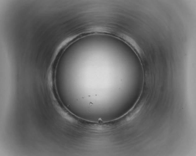 X0000110920987200906251414