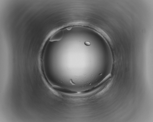 X0000110920989200906251414