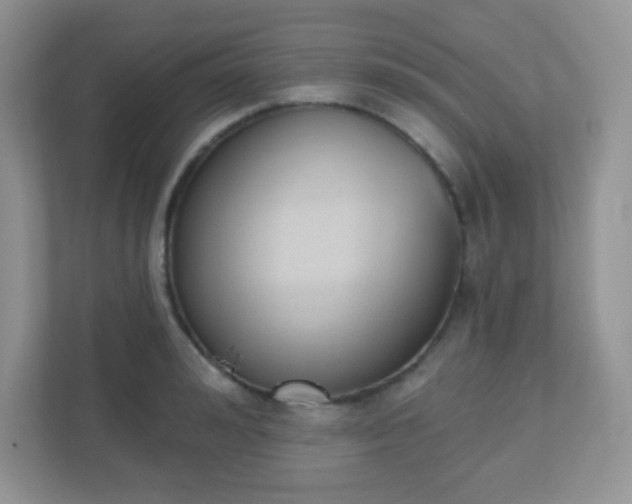 X0000110920992200906251414