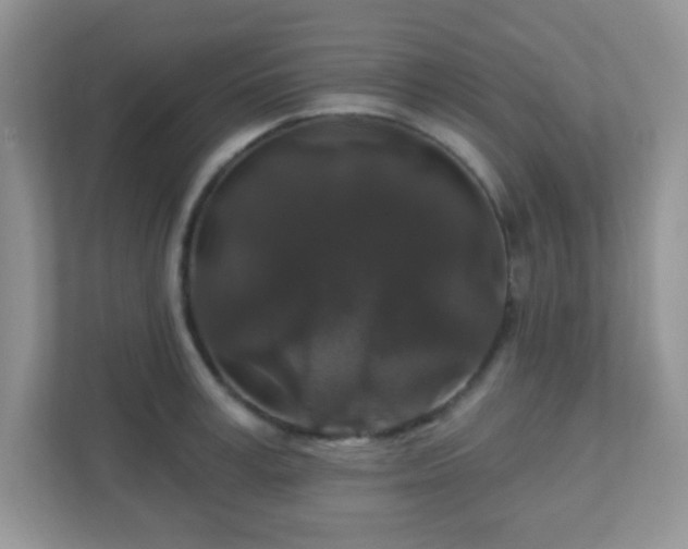 X0000110920995200906251414